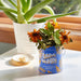 Mini sunflower grow kit by Modern Sprout displayed on a bright table with a decorative layout, featuring faded sunflowers in a vibrant blue can from the Complimentary Color Grow Kits.