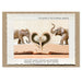 Humorous blank-inside animal-themed greeting card from The Memorable Image Card Collection, crafted by Jamie Redmond in Upstate NY.