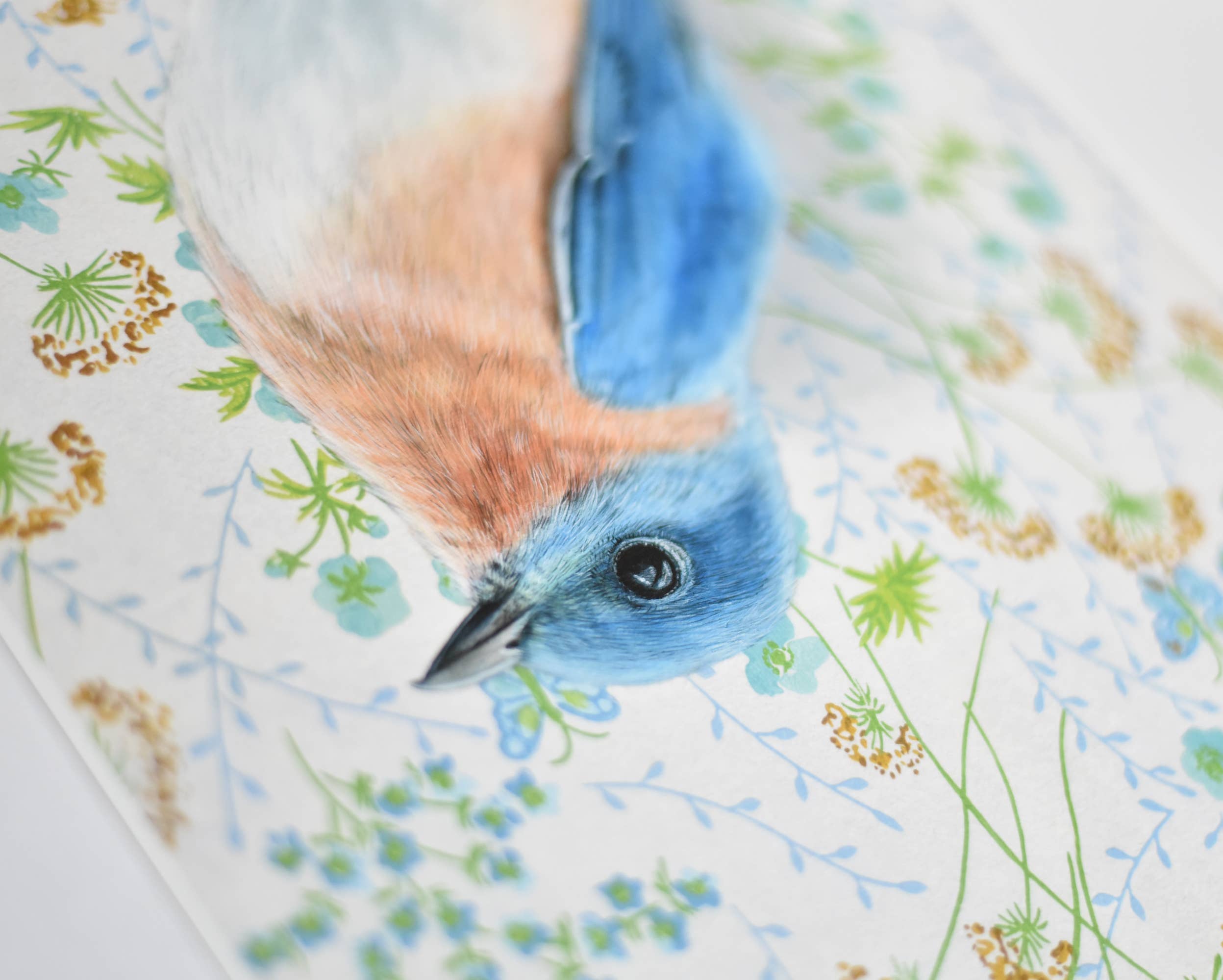 Close-up image of a bluebird fine art print by Emily Uchytil, highlighting detailed feathers and floral designs in the background, suitable for nature lovers.