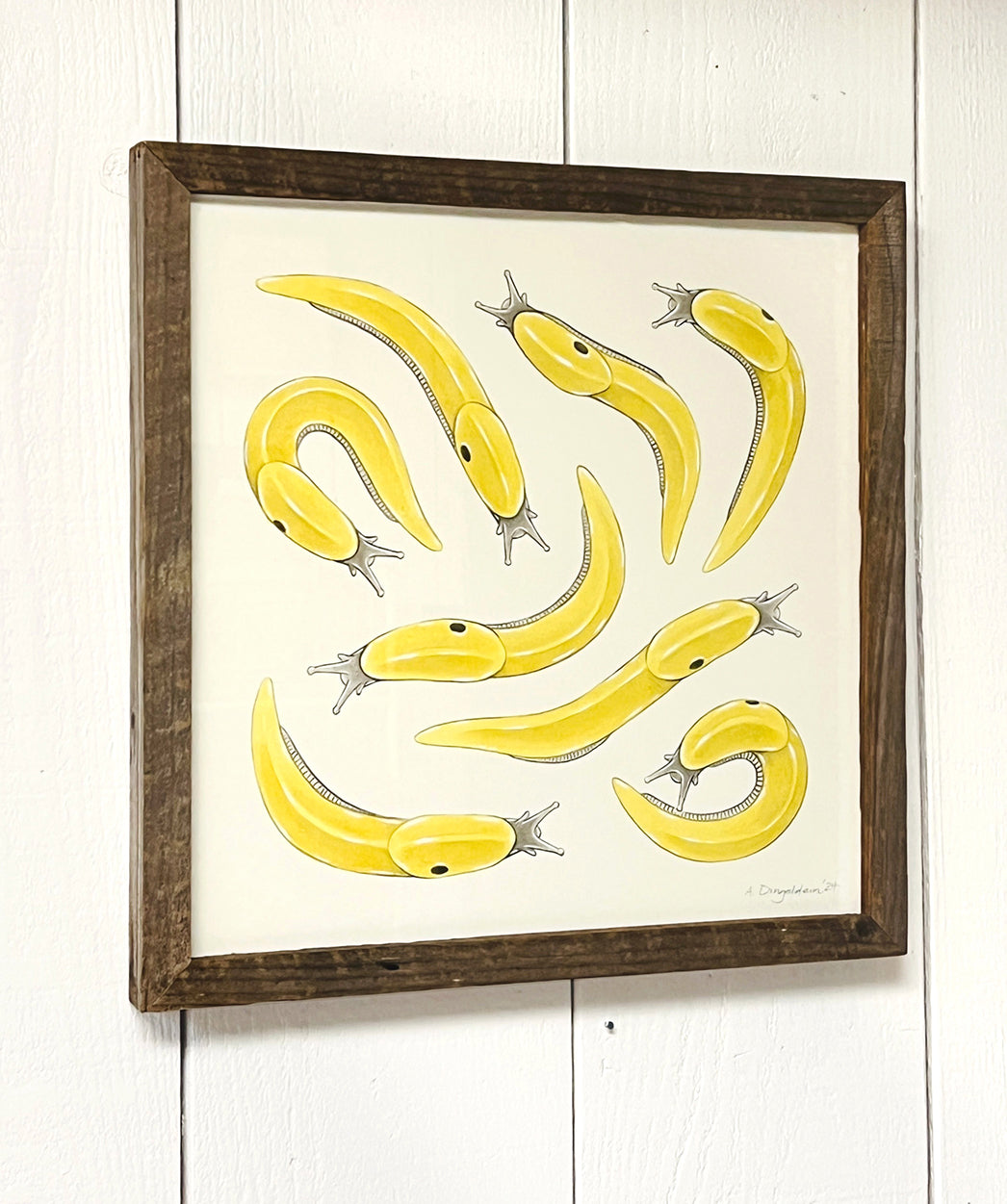 small banana slugs in wood frame