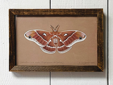 moth painting in wood frame