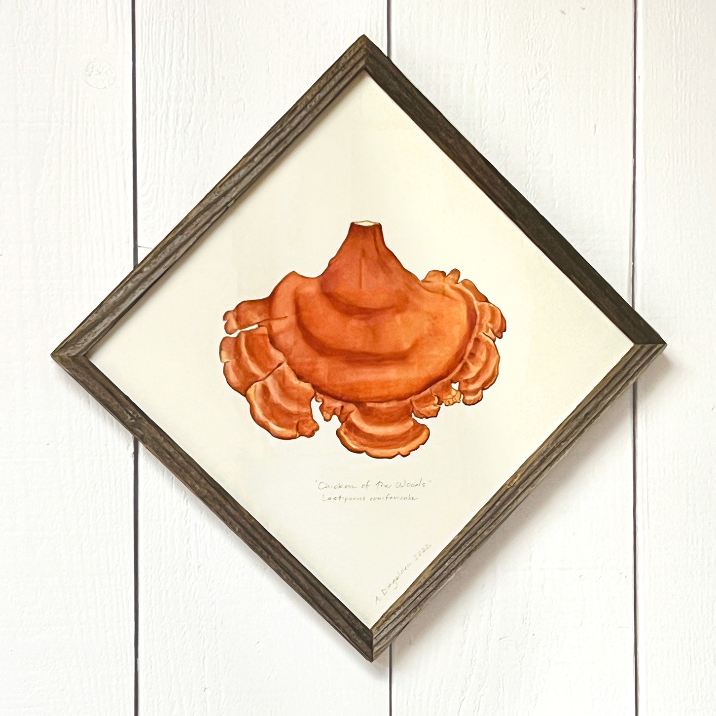 Tide pool illustration in wood frame