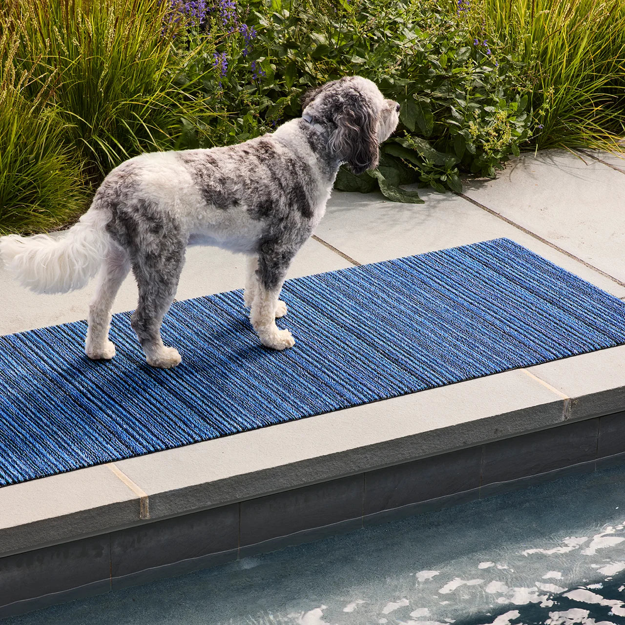 Skinny Stripe Shag Mat | Ocean