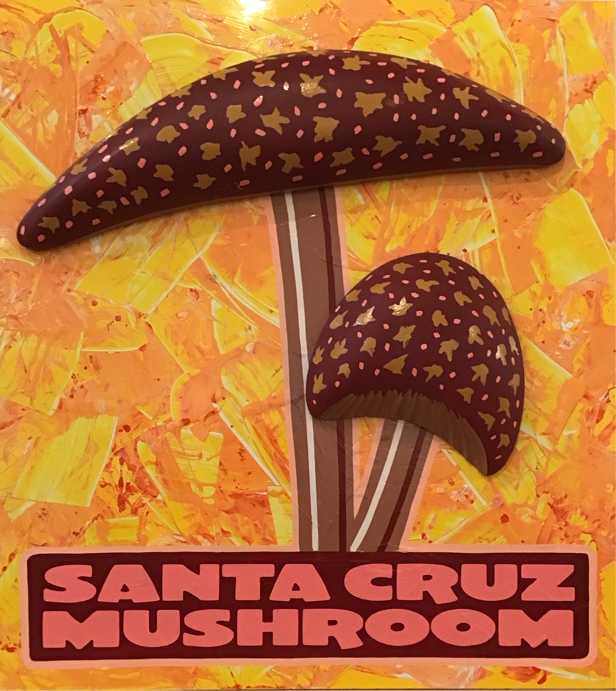 Santa Cruz Mushrooms Stars