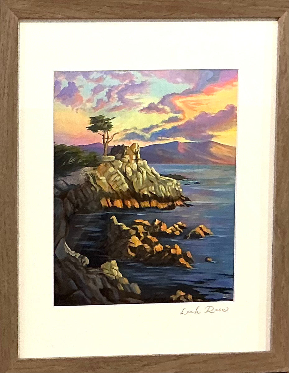 Leah Rose| West Cliff Cypress