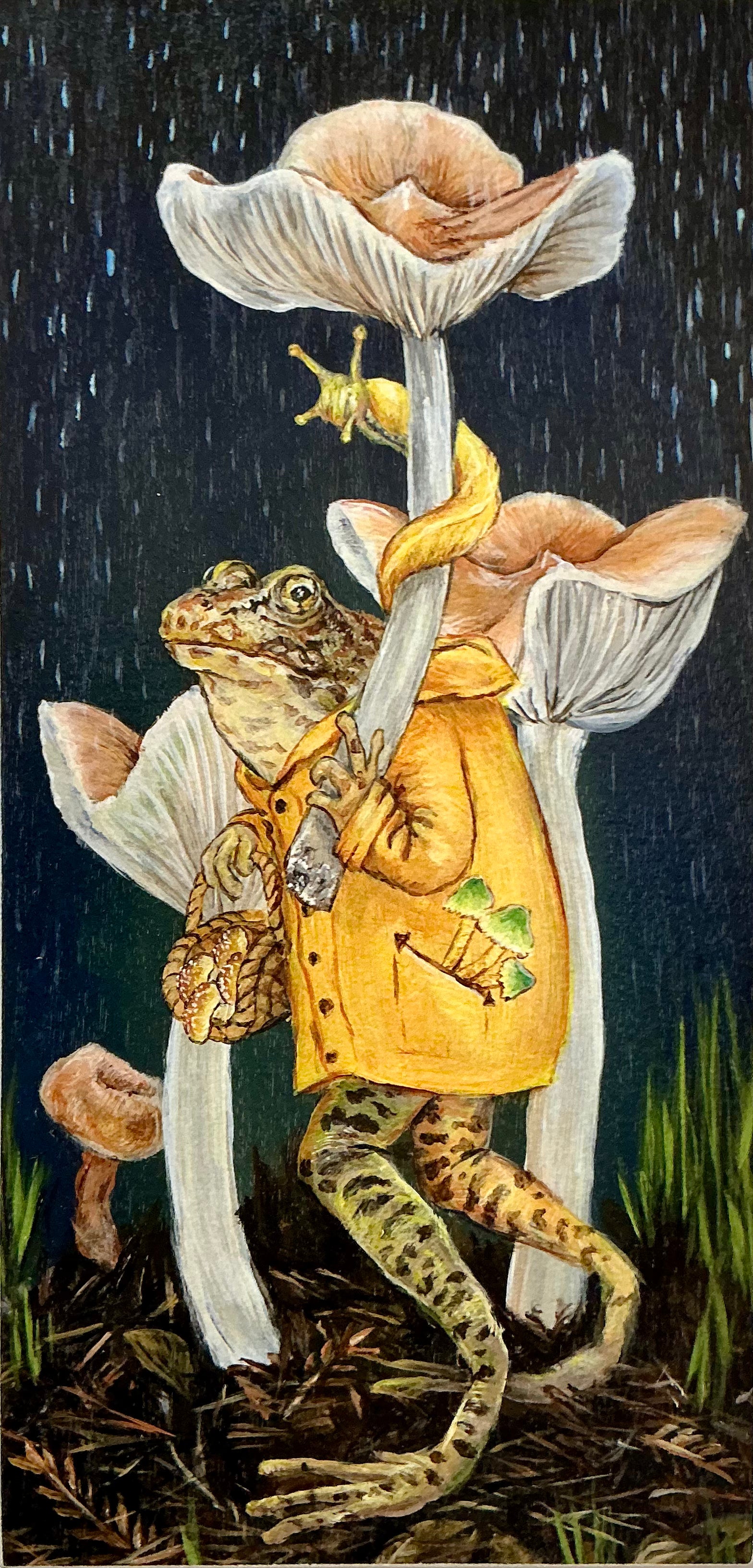 Foraging Frog | Giclee Print