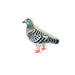 Homing Pigeon Brooch hand-embroidered brooch by Trovelore