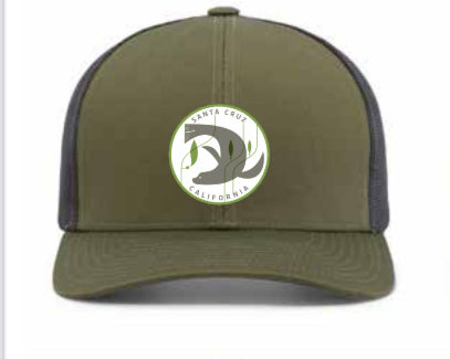 sea lion santa cruz trucker hat, green