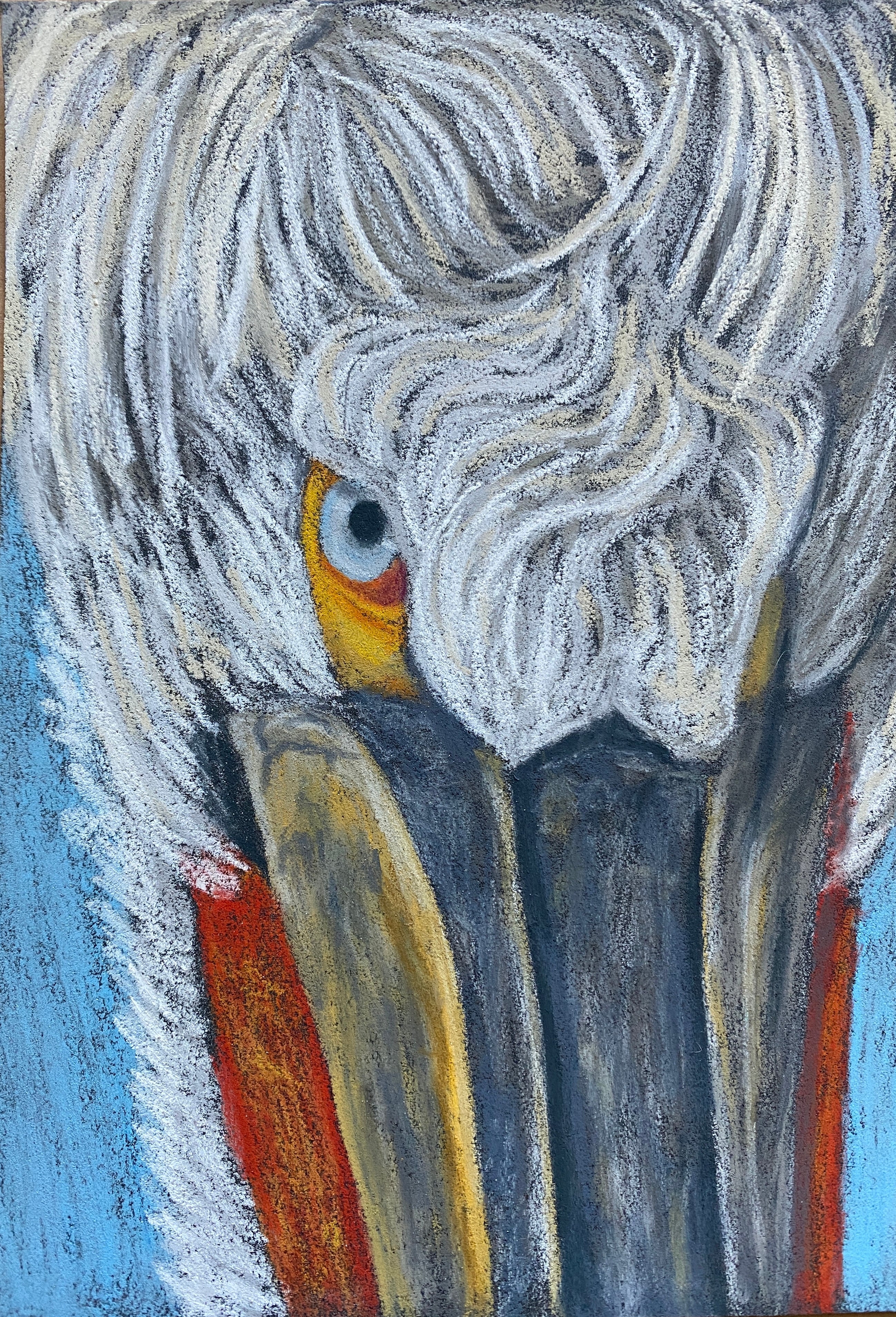 Close-up pastel rendering of a pelican's face, showcasing vivid colors and fine details by Hearts for the Arts, part of the 'I See You' collection.