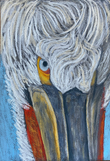 Close-up pastel rendering of a pelican's face, showcasing vivid colors and fine details by Hearts for the Arts, part of the 'I See You' collection.