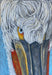 Close-up pastel rendering of a pelican's face, showcasing vivid colors and fine details by Hearts for the Arts, part of the 'I See You' collection.
