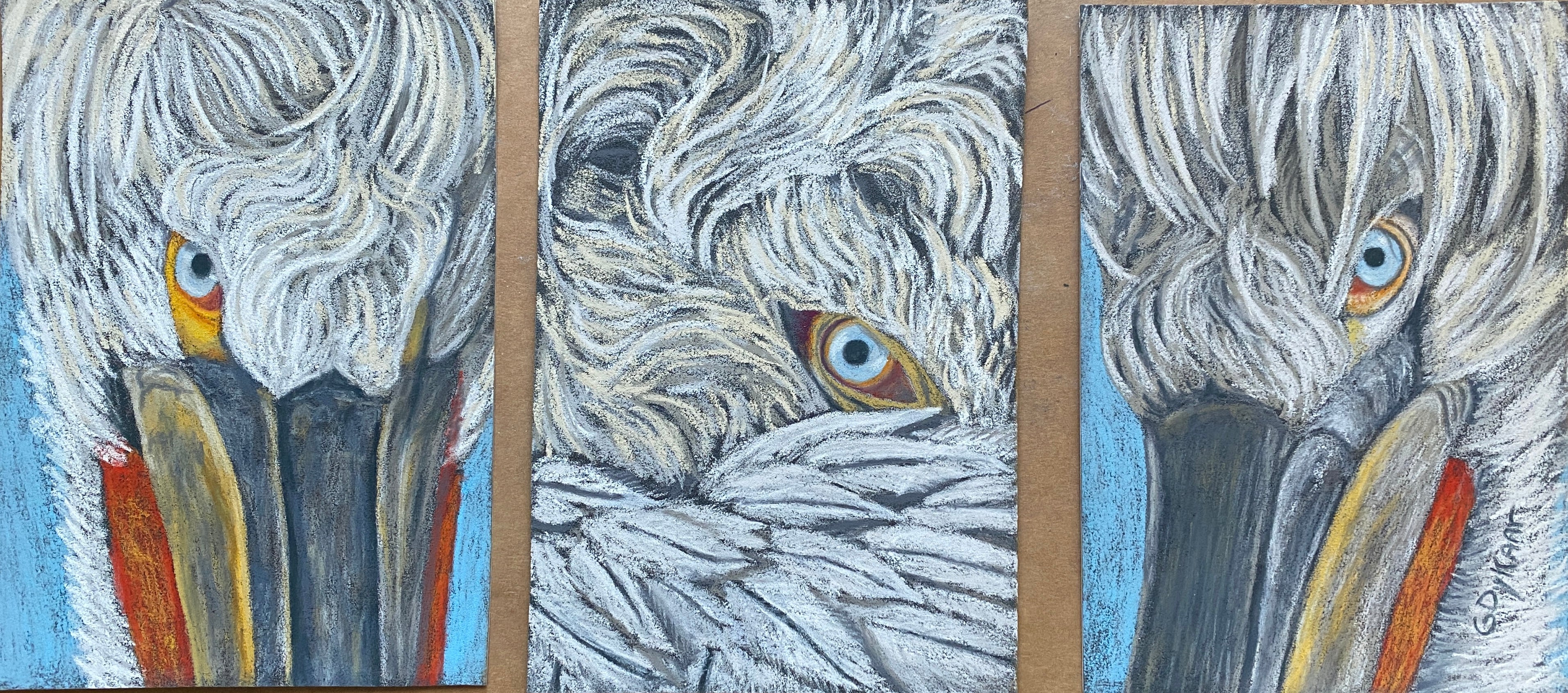 Triptych artwork of three pelicans, in soft pastel by Hearts for the Arts, titled 'I See You,' each representing intricate details and textures in their feathers and eyes.
