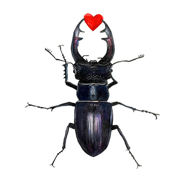 Watercolor and ink print of a stag beetle with a heart atop its head, created by Hearts for the Arts, titled 'Hearts for the Arts | Love Bug'.