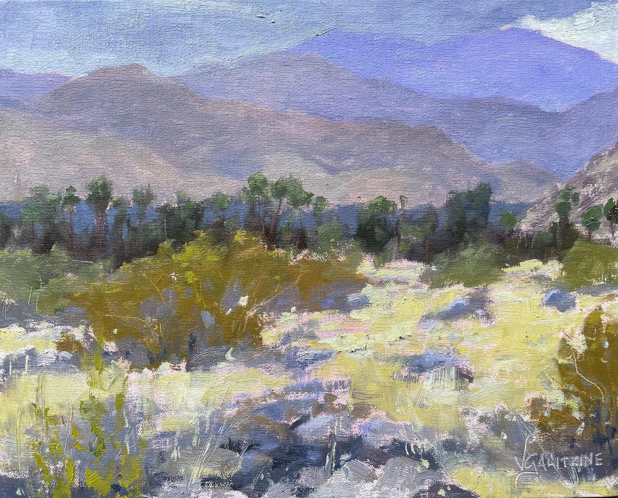 Indian Canyons Original