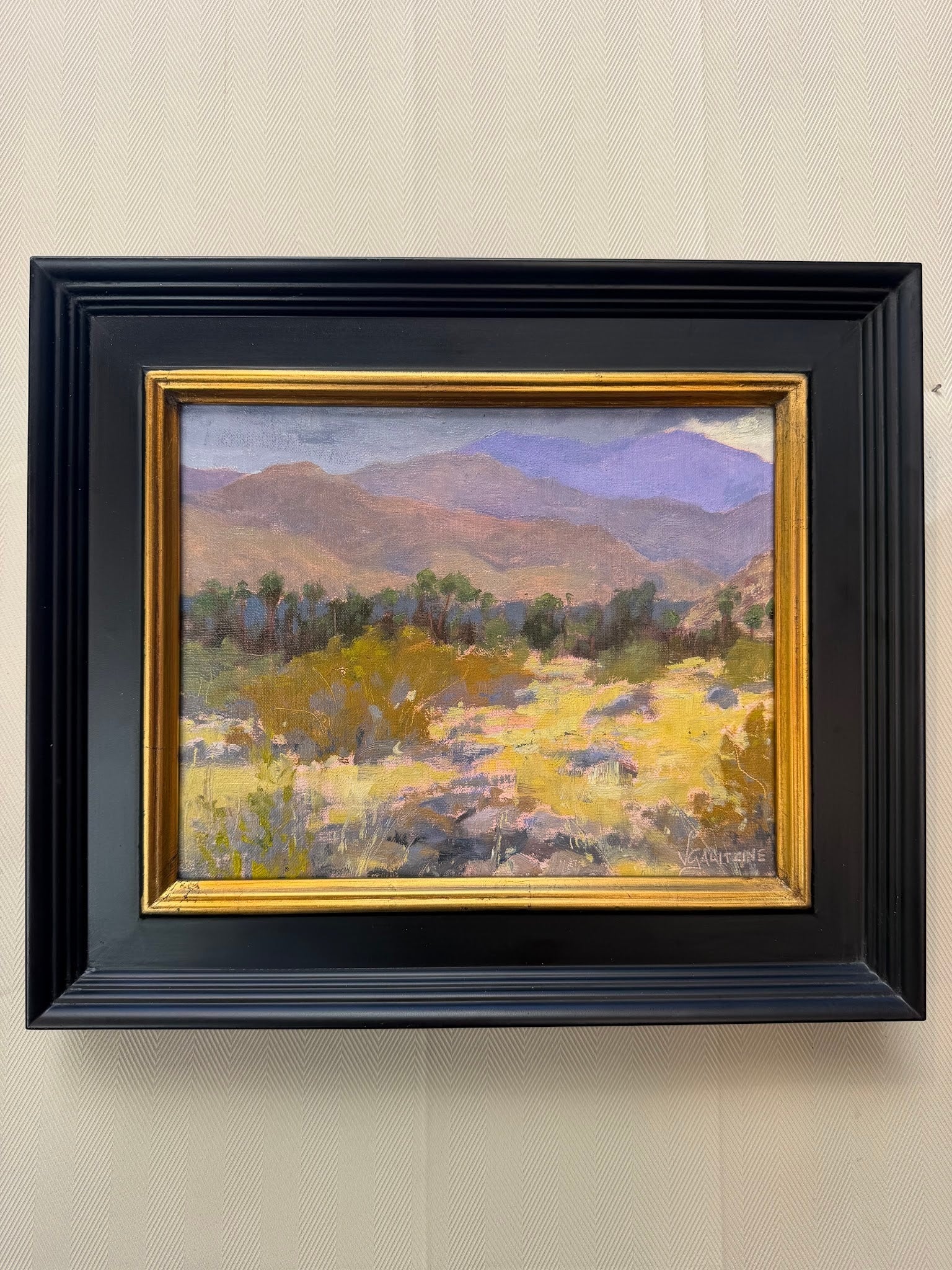 Indian Canyons Original