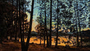 Chris Hinck greeting card sunset near a lake