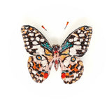 Lime Swallowtail Butterfly Brooch hand-embroidered brooch by Trovelore