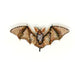 Long Eared Bat Brooch hand-embroidered brooch by Trovelore
