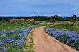 Chris Hinck greeting card with bike path and flowers