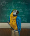 Framed 8x10 image of 'Michelle Waters | Professor Macaw is not a Birdbrain', showcasing vibrant artwork and educational themes.