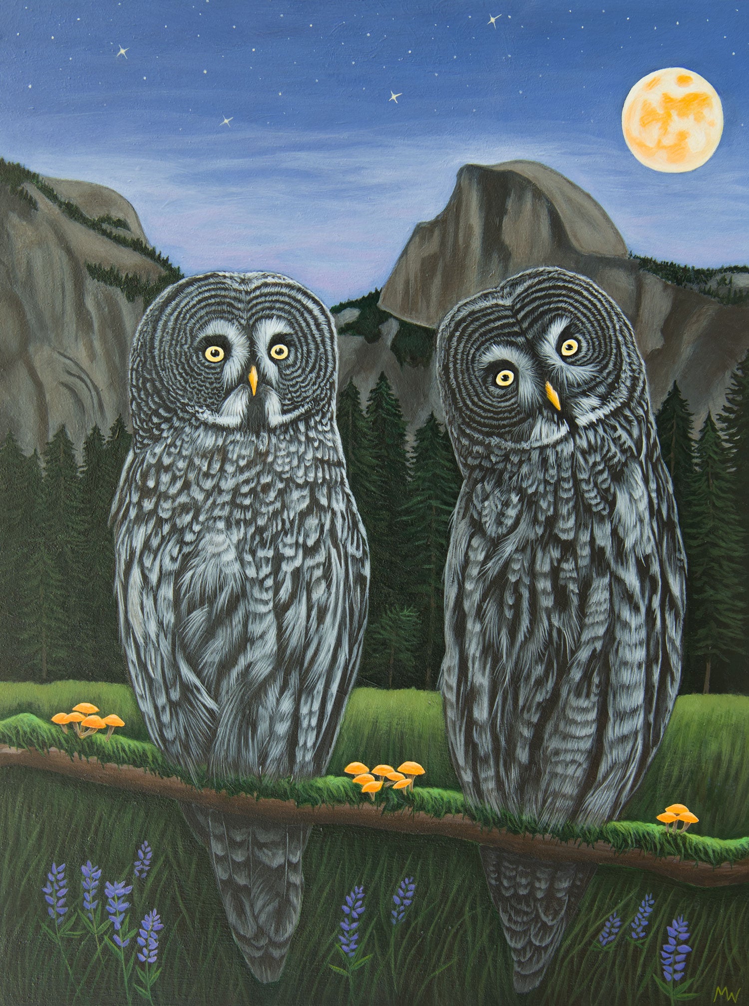 Beautiful acrylic painting of superb owls by Michelle Waters on cradled birch panel, measuring 12” x 16”.