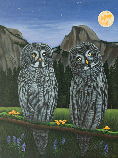Beautiful acrylic painting of superb owls by Michelle Waters on cradled birch panel, measuring 12” x 16”.