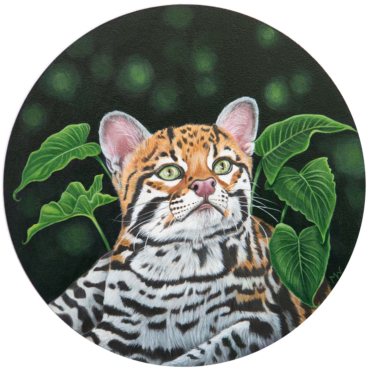 Acrylic artwork titled 'Oncilla Nights' by Michelle Waters displayed on a wood panel, 10 inches in diameter.