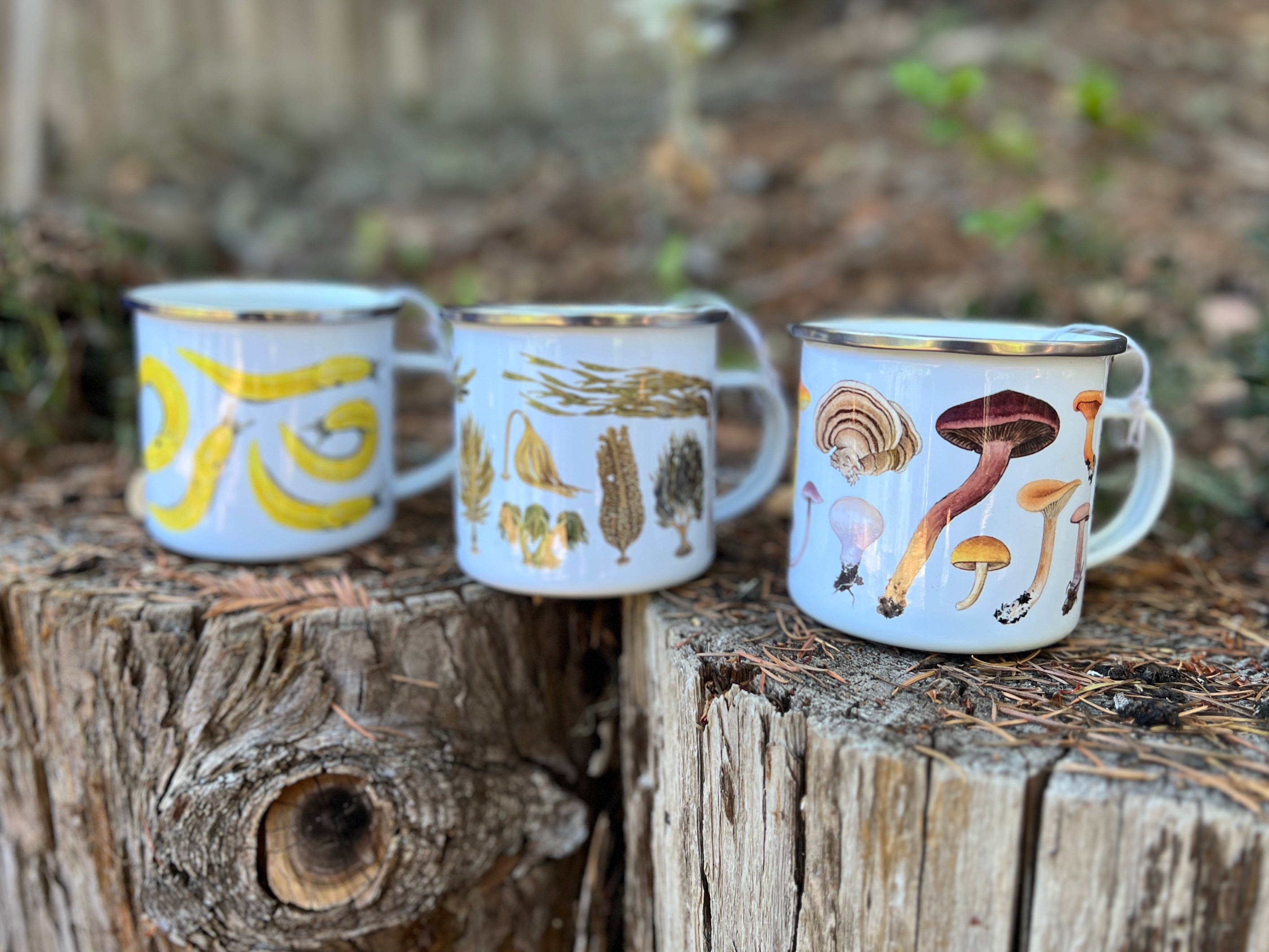 Enameled mugs