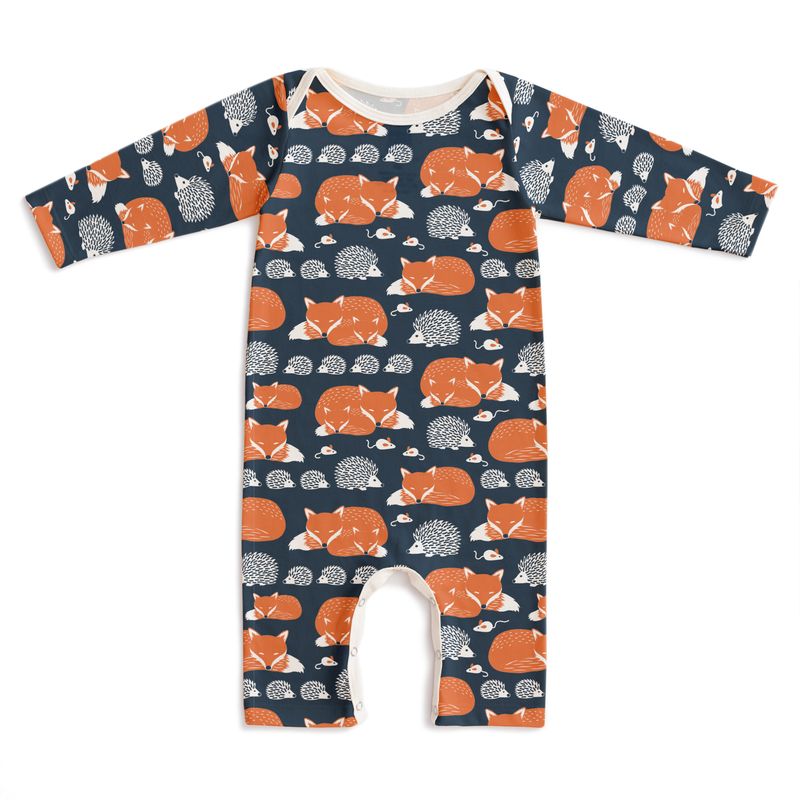Foxes & Hedgehogs Night Sky | Assorted Kids Clothes