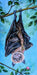 Bat hanging upside down on a limb