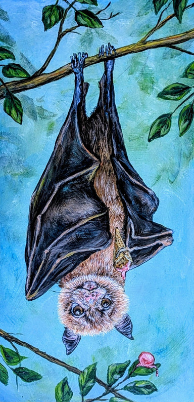 Bat hanging upside down on a limb