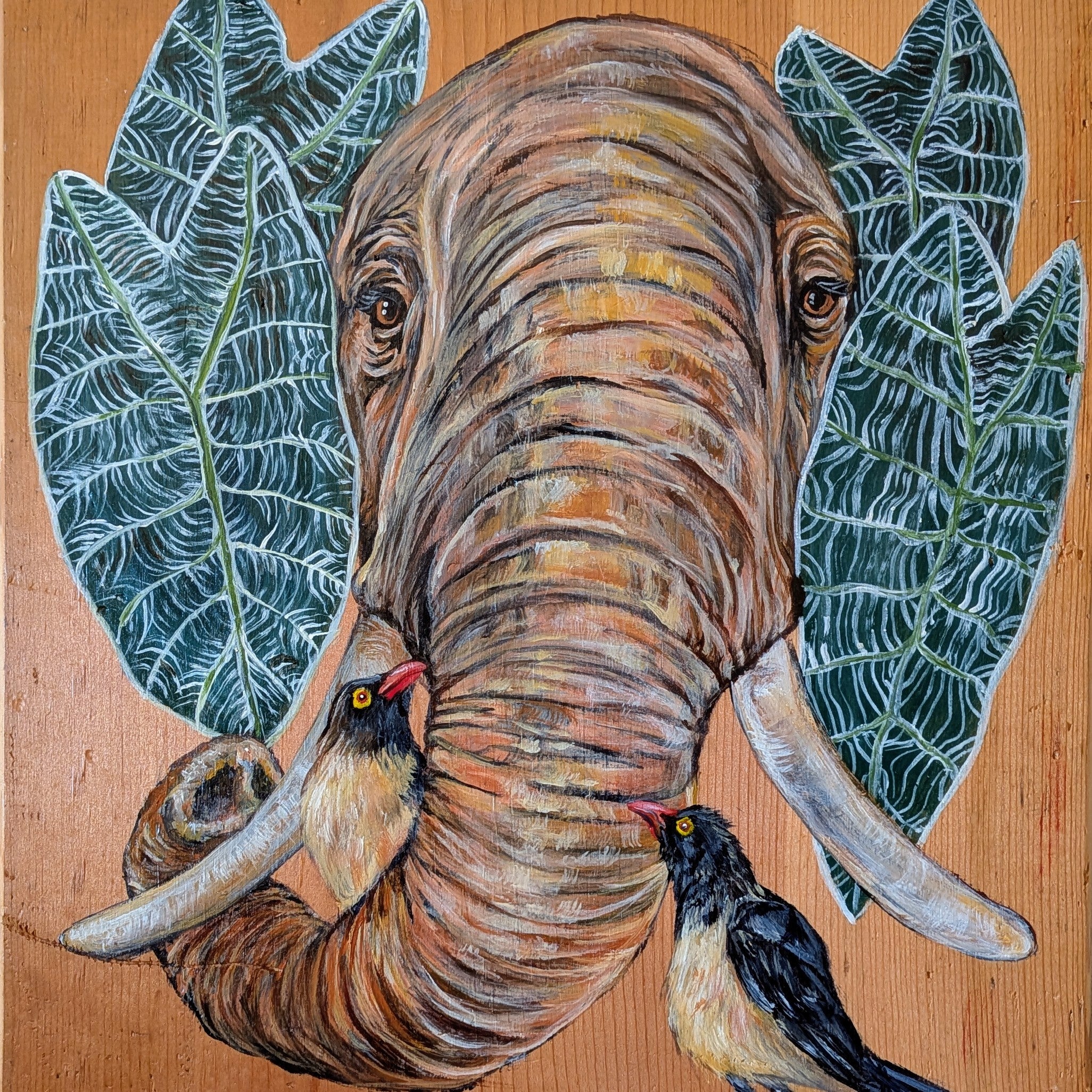 Hearts for the Arts | For the Love of Elephant Ears