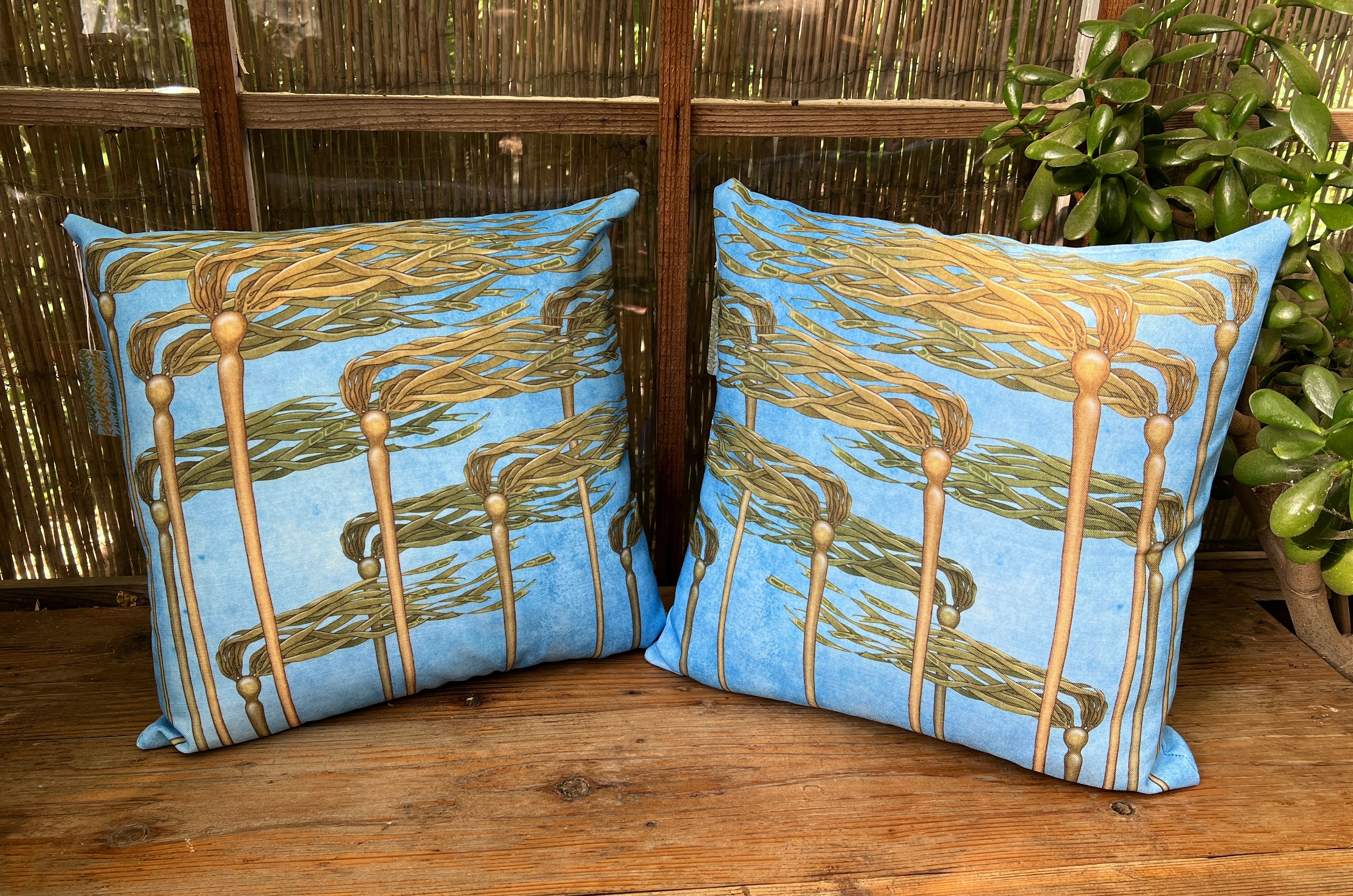 Pillows by Andrea Dingeldein