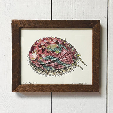 Abalone print with wood frame