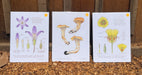 floral and mushroom illustration prints