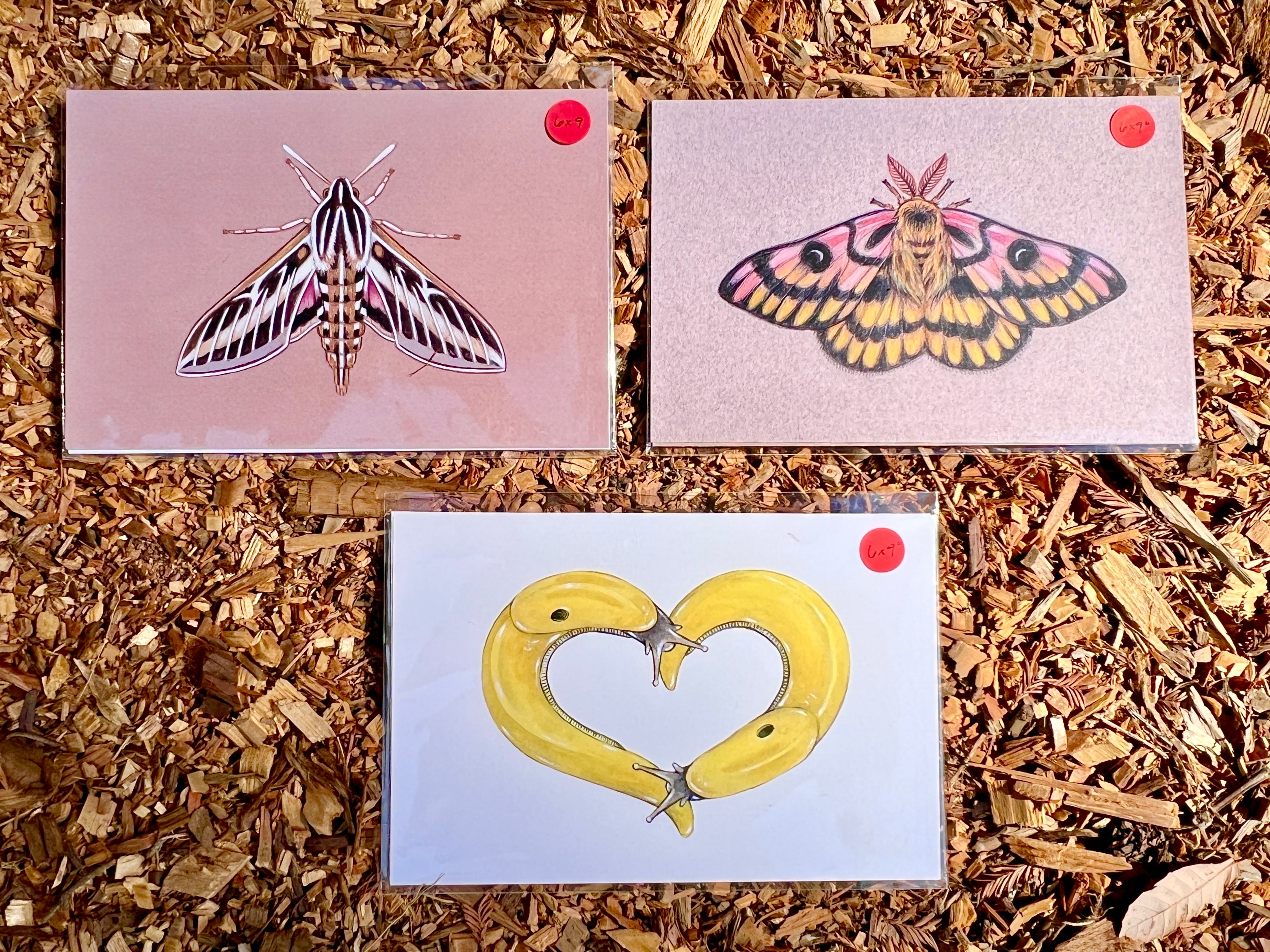 Small Prints by Andrea Dingeldein