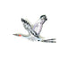 Sandhill Crane Brooch hand-embroidered brooch by Trovelore