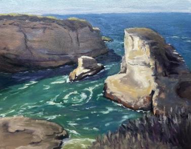 shark fin cove painting
