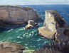 shark fin cove painting