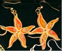 Breeze Chic | Starfish