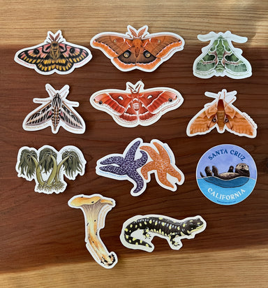 Small wildlife stickers