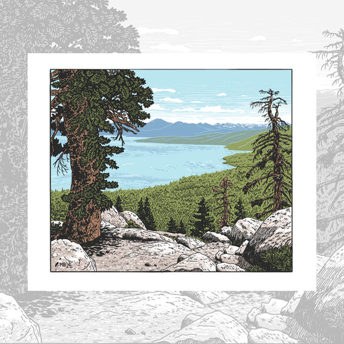 TRT - Distant Desolation