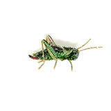 Two Stripped Grasshopper Brooch hand-embroidered brooch by Trovelore