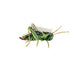 Two Stripped Grasshopper Brooch hand-embroidered brooch by Trovelore