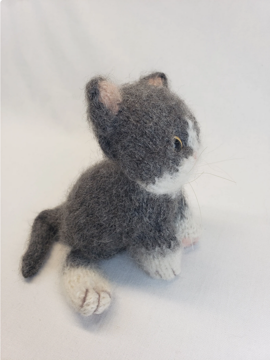 Fluffy Dark Gray Common Cat