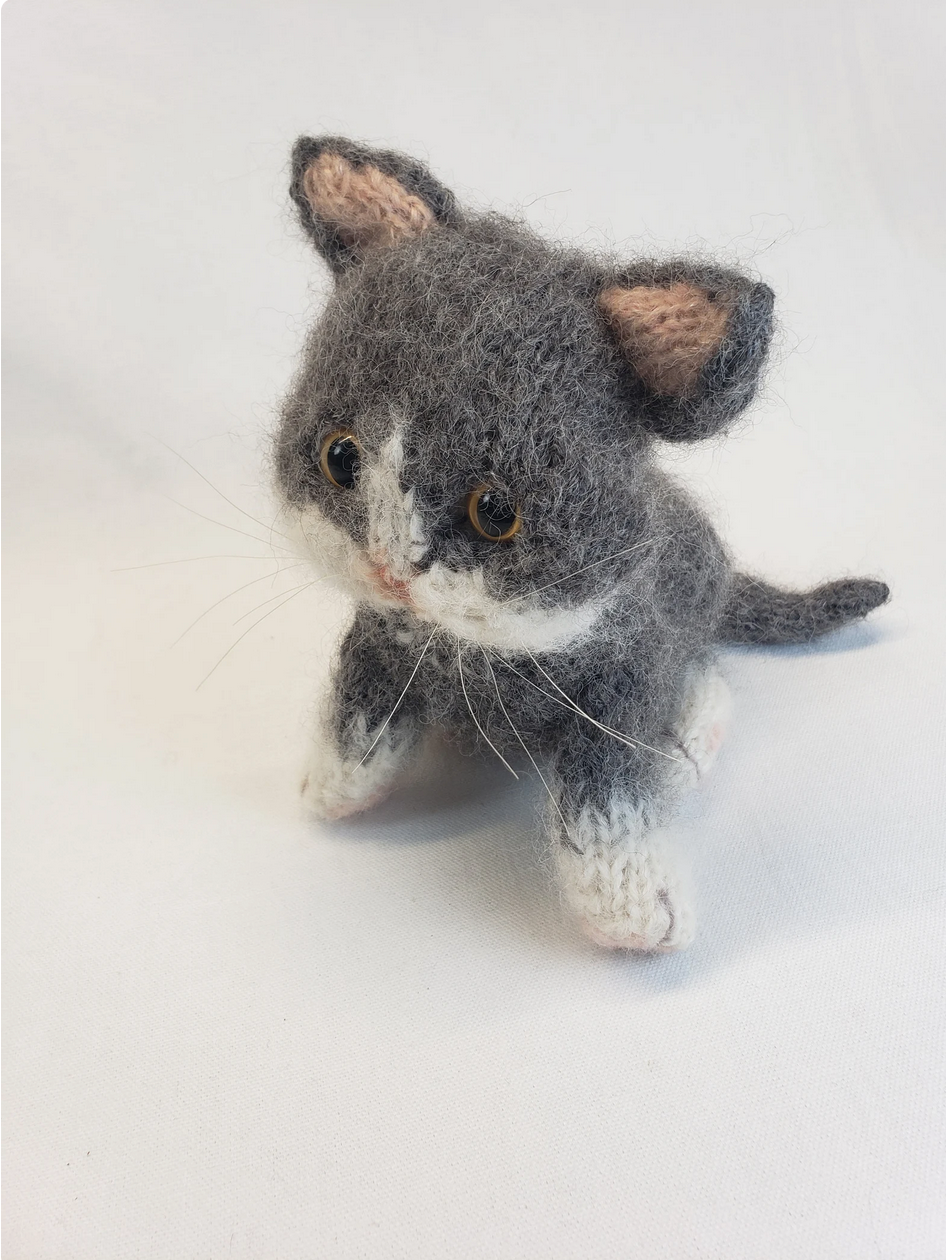 Fluffy Dark Gray Common Cat
