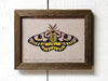 moth painting in wood frame