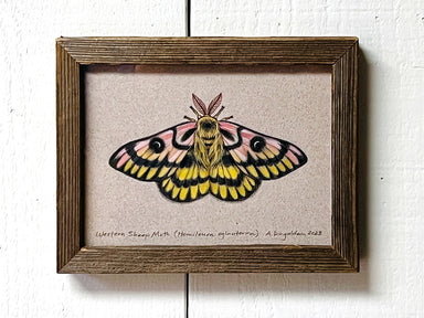 moth painting in wood frame