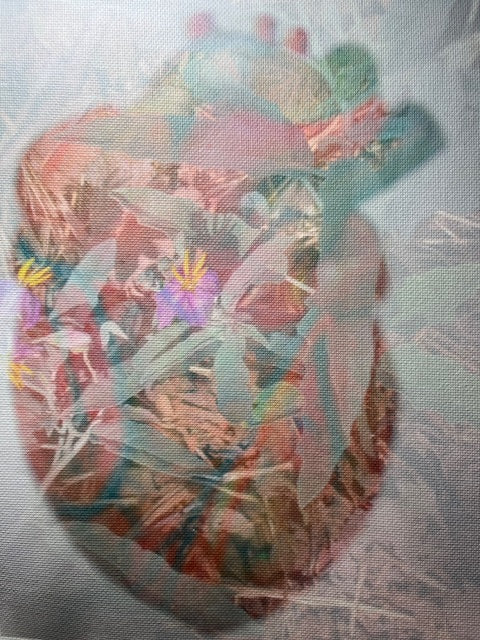 Artistic photomontage featuring a heart-shaped composition with floral elements, created by Hearts for the Arts , titled 'Hearts for the Arts | Heart of Nature'.