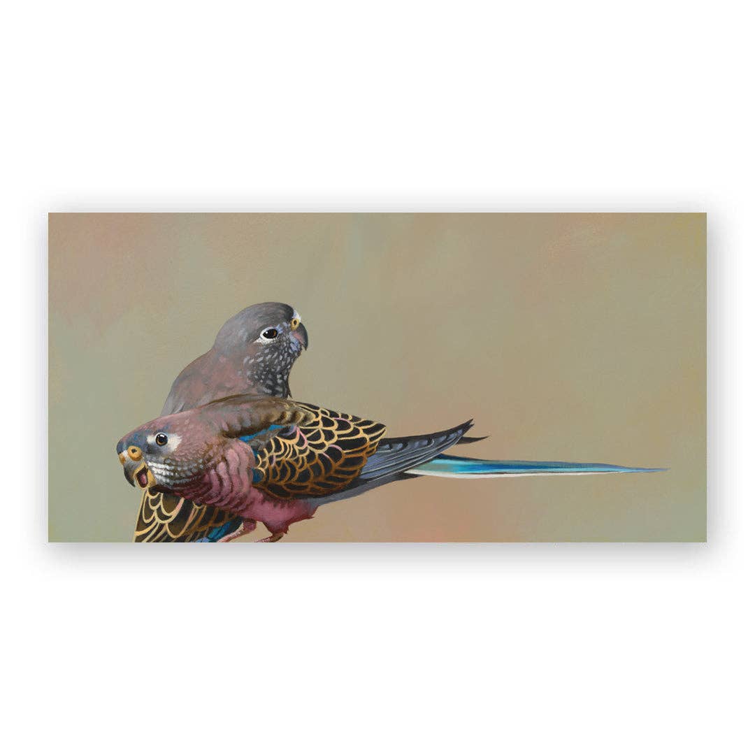 Bourke's Parrots Wood Wall Art Decor